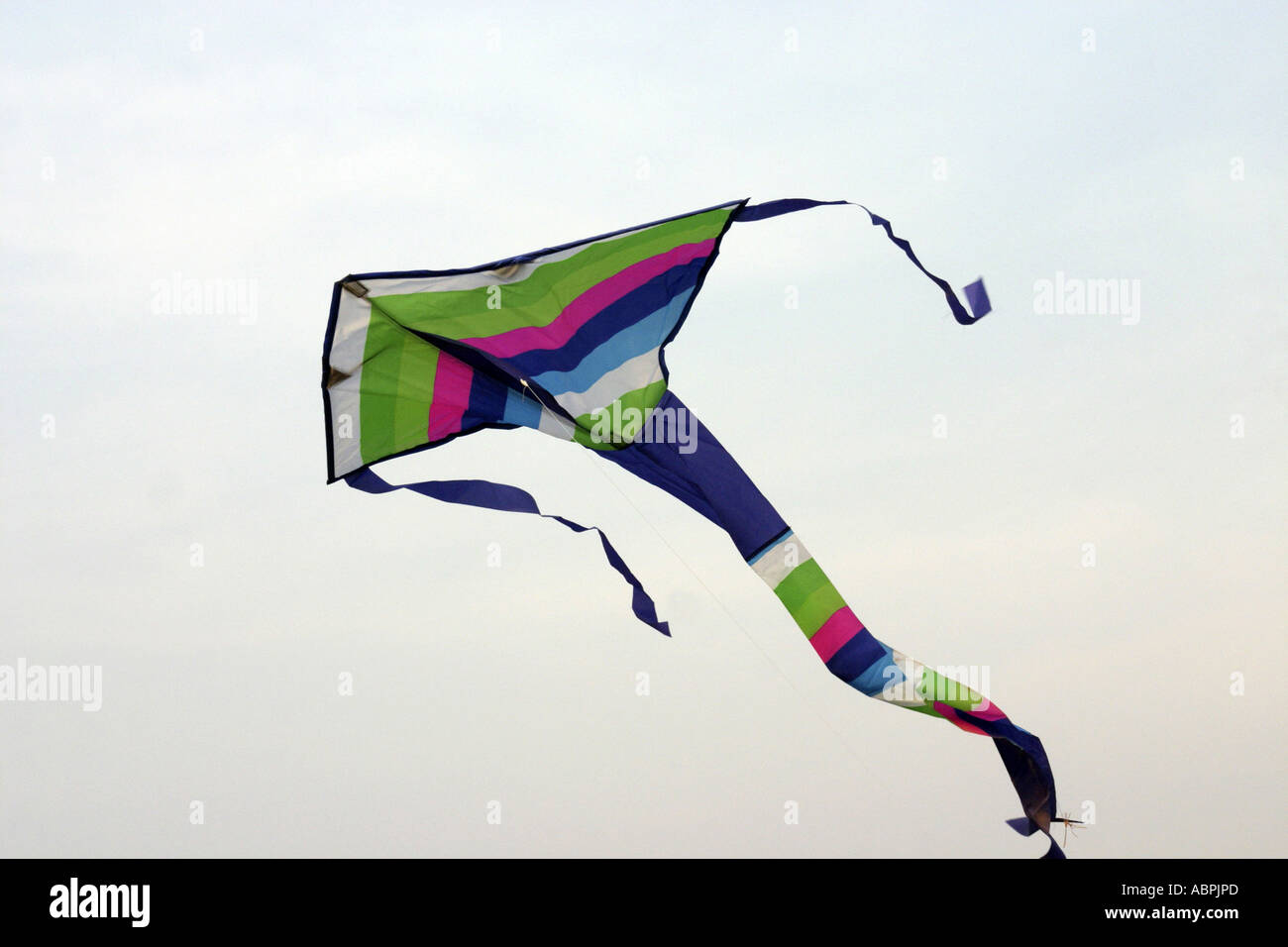 RSC78950 Kite flying festival Makar Sankranti is celebrated with kite flying on 14 th January Bombay Mumbai Maharashtra India Stock Photo