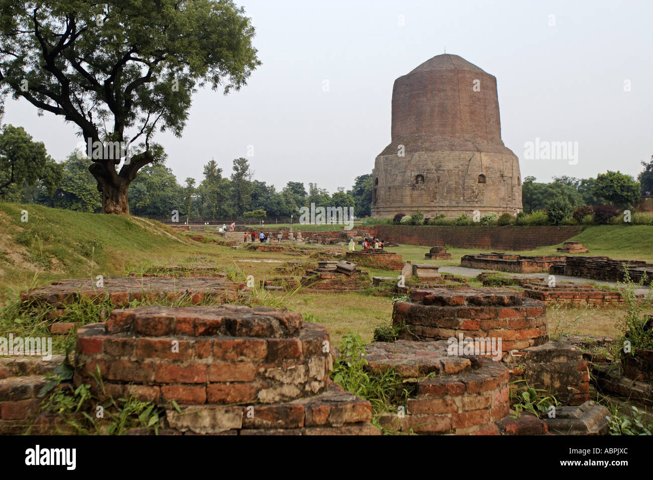 AAD78984 Sarnath Buddhist stupa near Banaras Varanasi Uttar Pradesh India Stock Photo