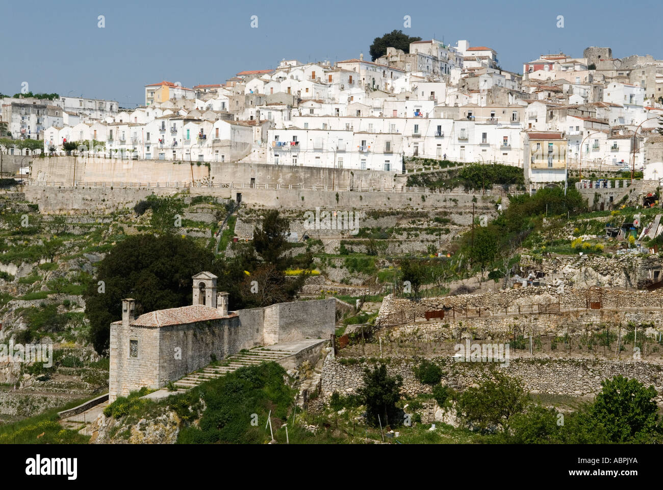 Angelo State Calendar Farewell To D’angelo, Father Of Neo-soul Angelo State Calendar Farewell To D’angelo, Father Of Neo-soul