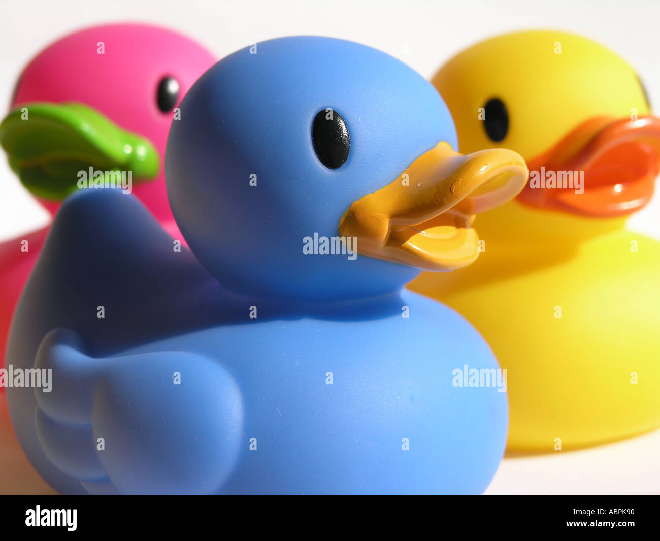 pink and blue rubber ducks