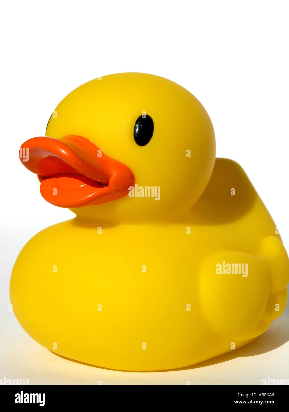 Single yellow rubber duck against a white background Stock Photo - Alamy