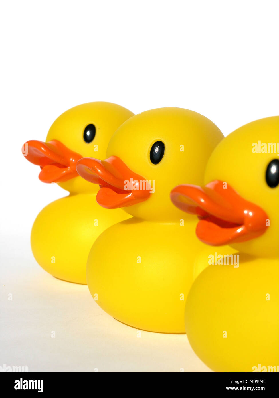 Three yellow rubber ducks in a row line against a white background