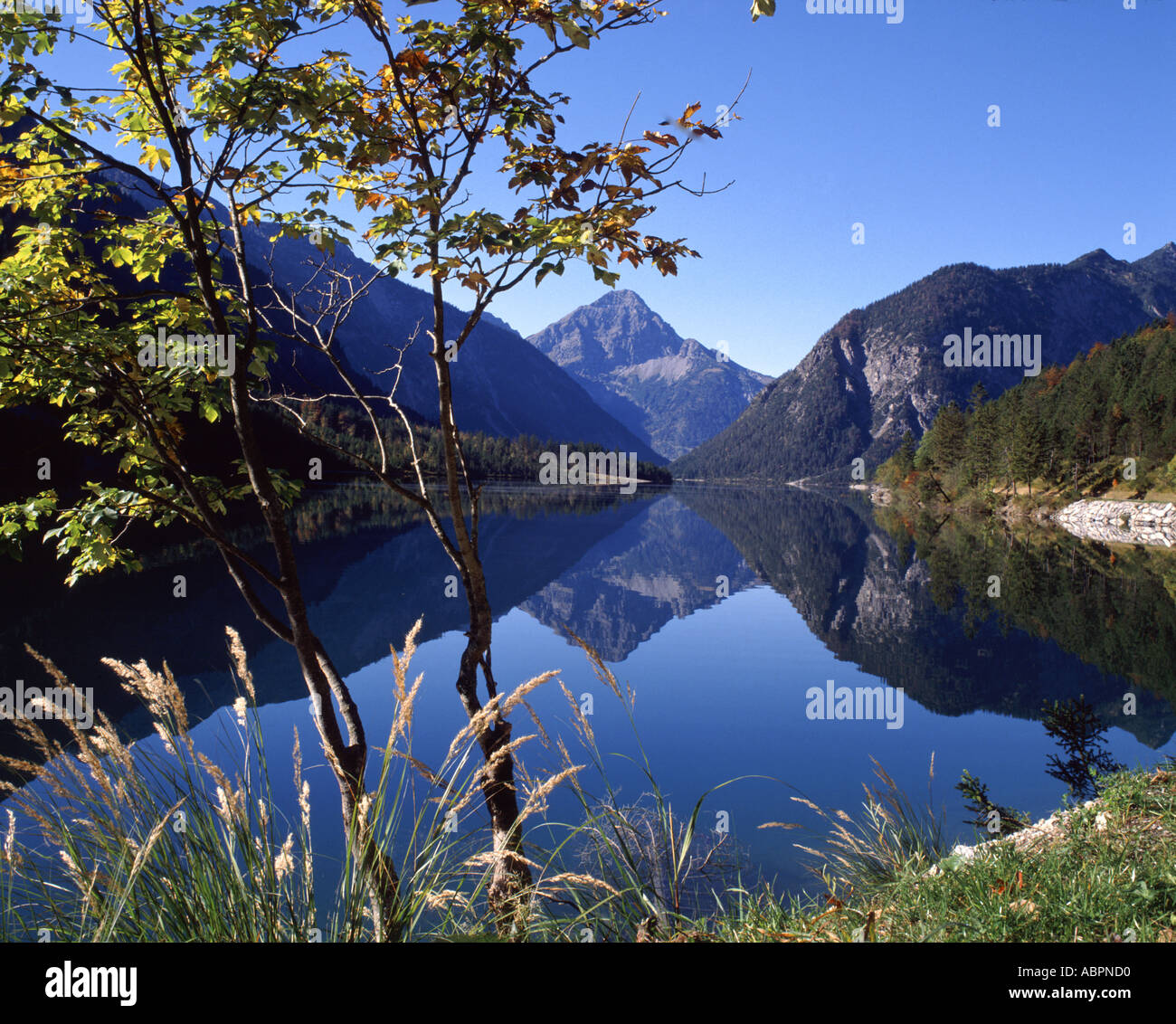 Plansee, Tirol, Austria Stock Photo