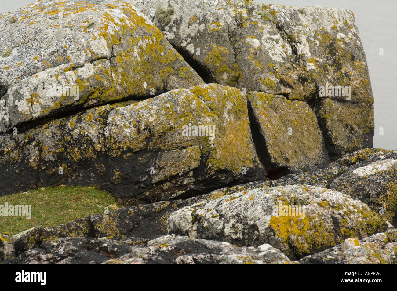Rocks with lichen, Isle of Harris, Outer Hebrides, Scotland, UK, Europe, May Stock Photo