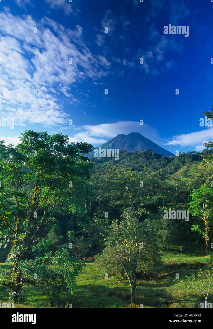 Volcan Arenal Zona Norte Costa Rica Stock Photo