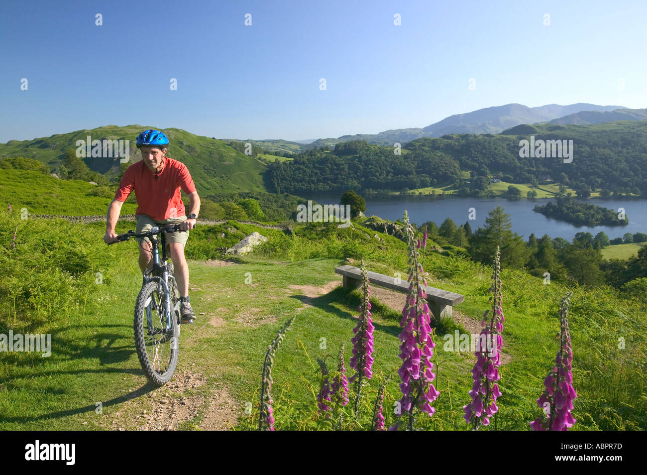 man riding mountain bike above Grasmere Lake Lake district Stock Photo