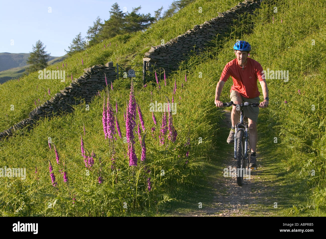 man riding mountain bike above Grasmere Lake Lake district Stock Photo