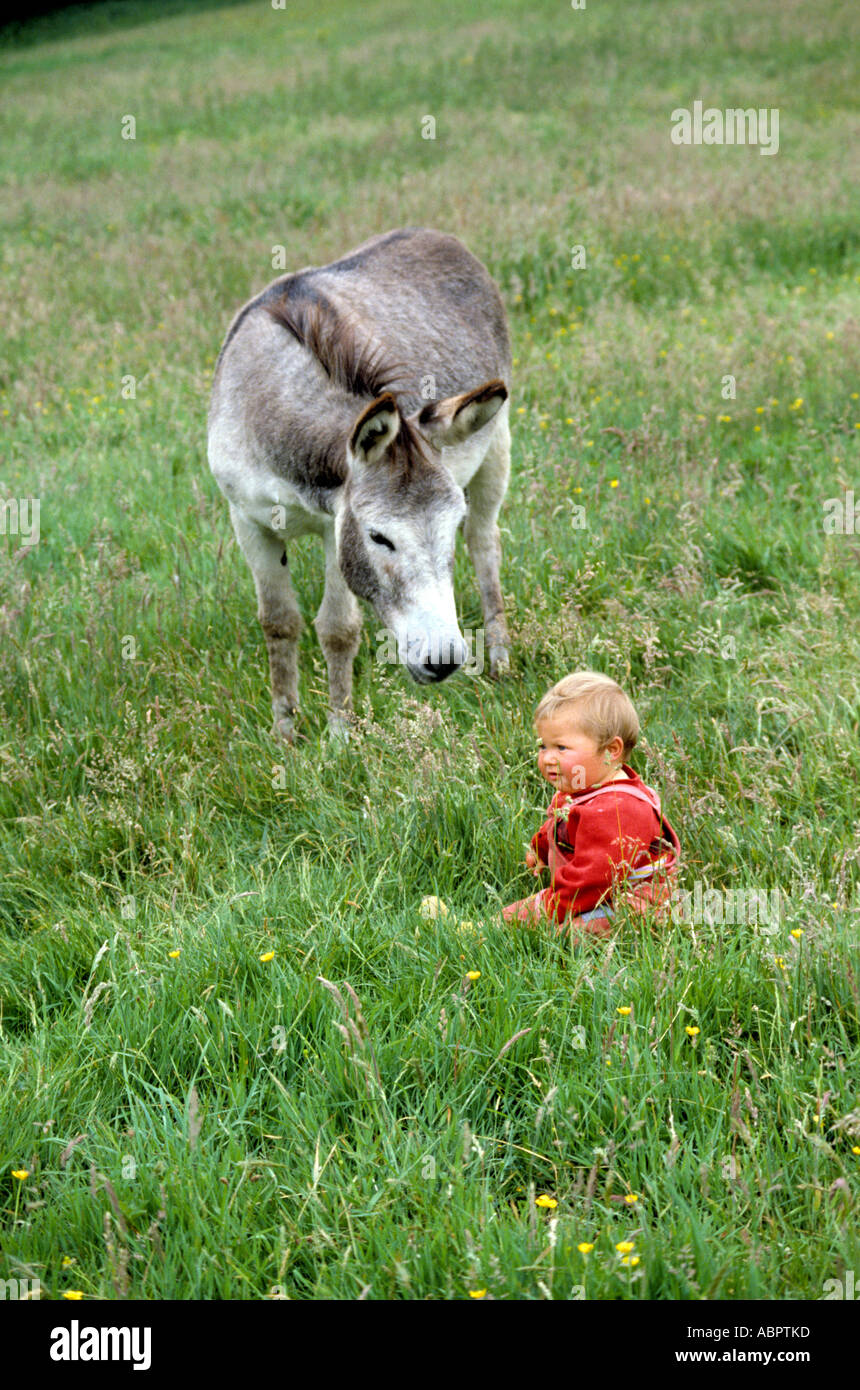 Child and donkey in a meadow Stock Photo