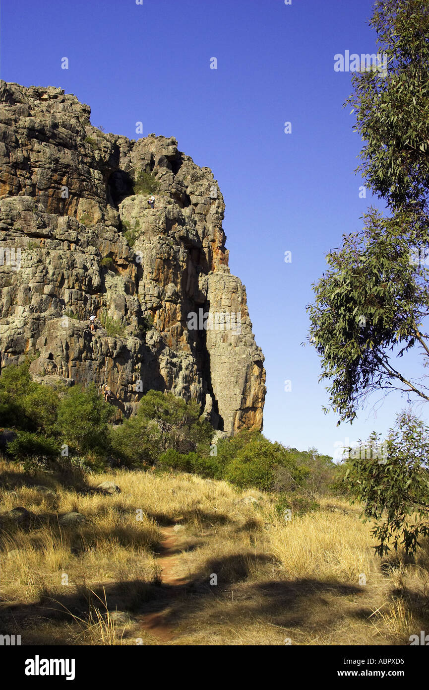 Rock Climbing at Mitre Rock Mount Arapiles Natimuk Victoria Australia