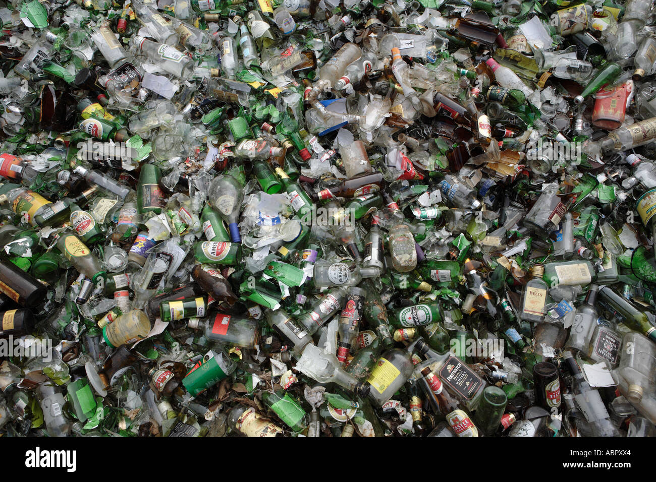 Glass for recycling Stock Photo Alamy