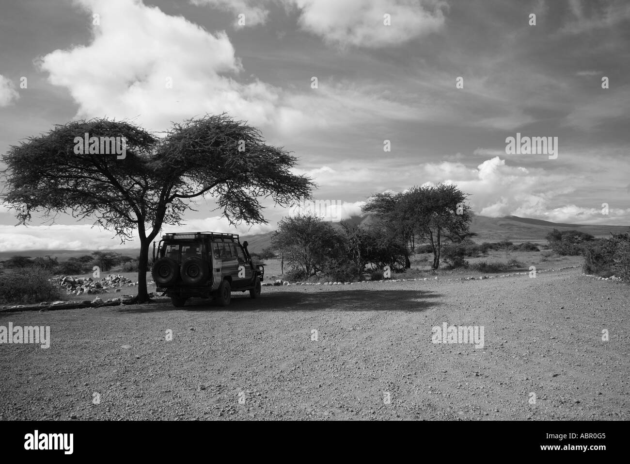 Safari jeep under the shade of an Accaia tree in Africa in Black and White Stock Photo