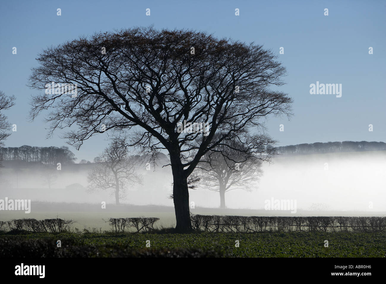 The Wolds shrouded in mist near Kirby Underdale East Yorkshire UK Stock Photo