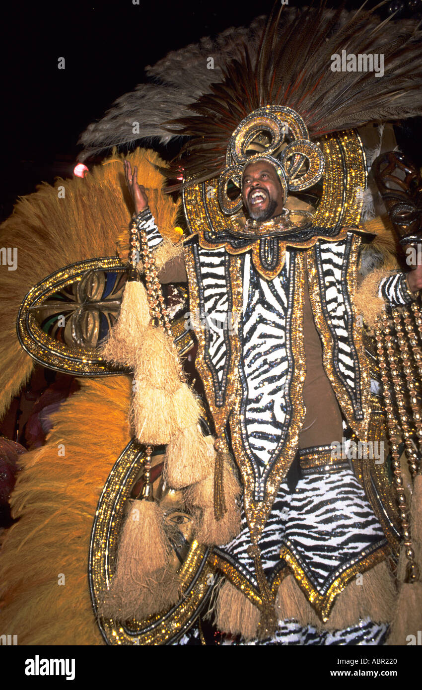 Rio de Janeiro, Brazil. Man in white, silver and gold carnival costume with zebra motif at the Scala ball. Stock Photo