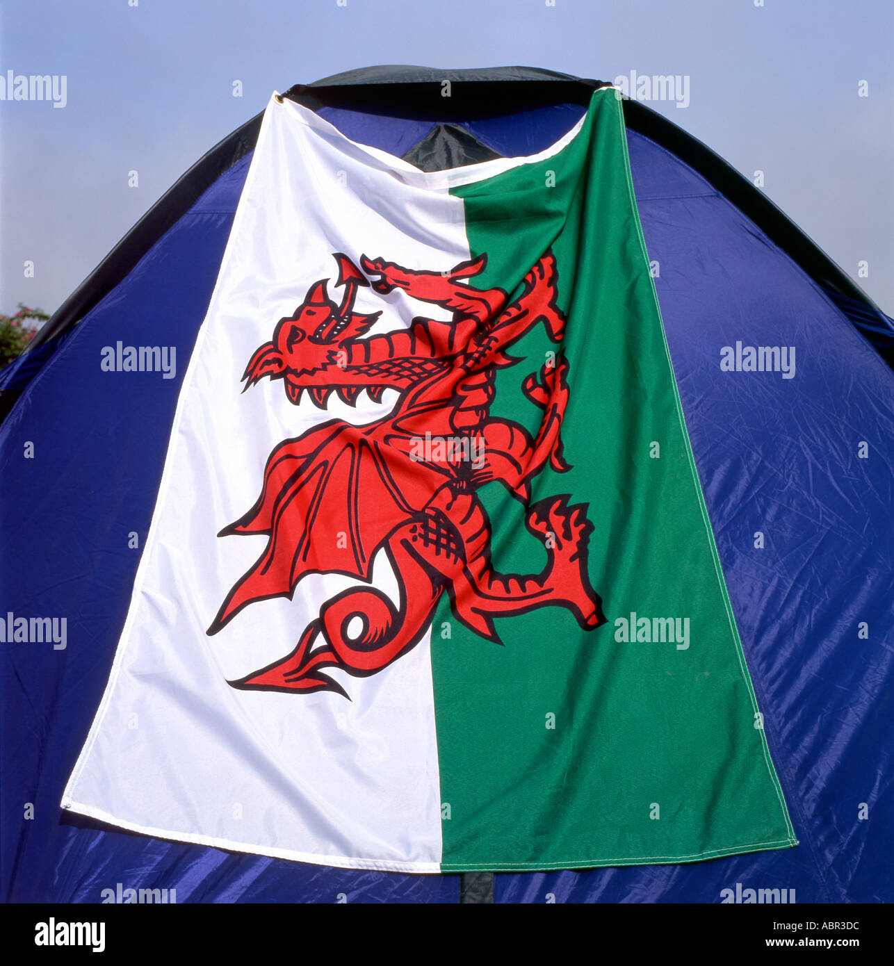 Welsh dragon flag decorating a tent on a camp site in Wales, UK Stock Photo