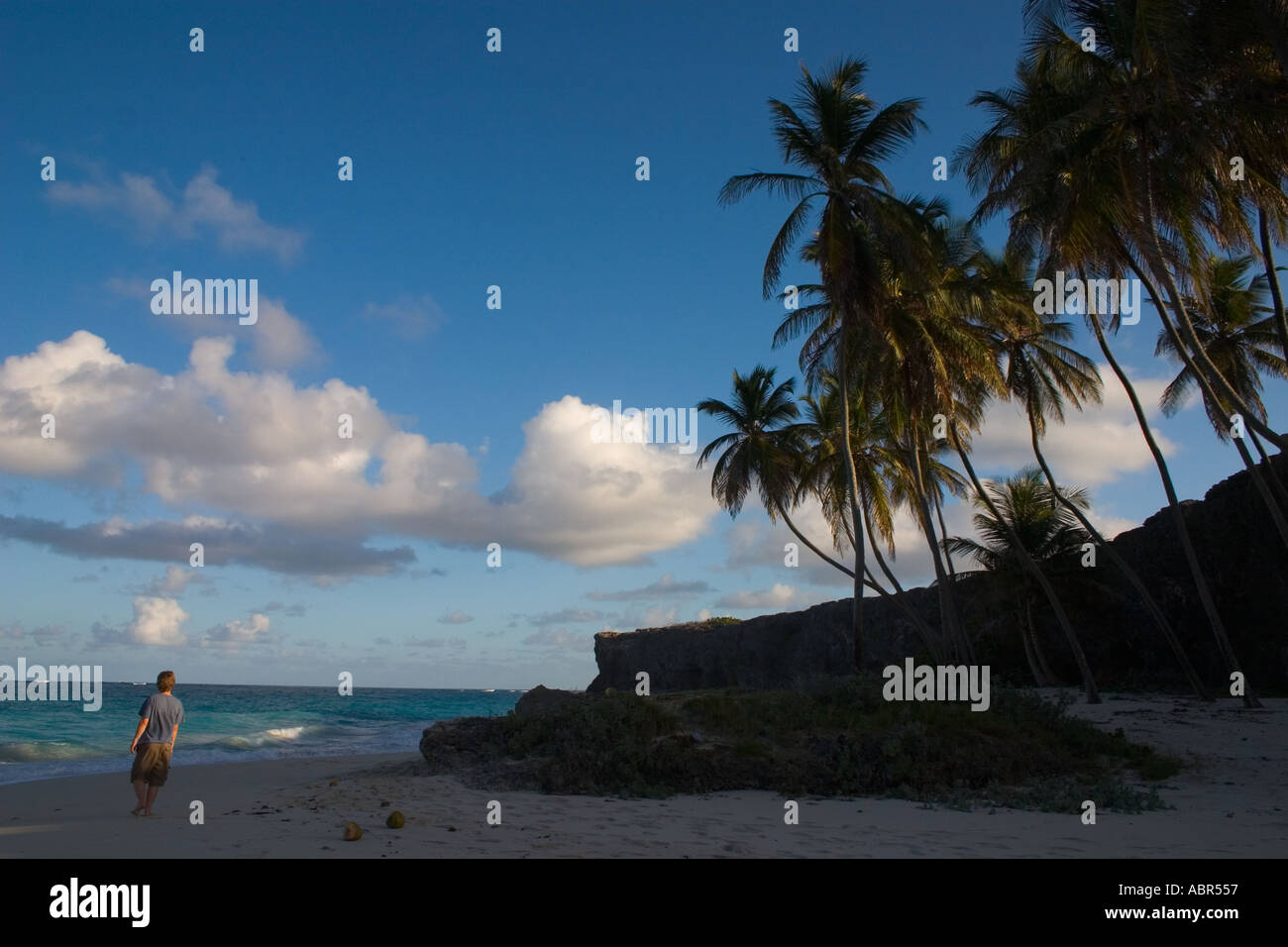 Barbados Silver Sands Christ Church Stock Photo Alamy