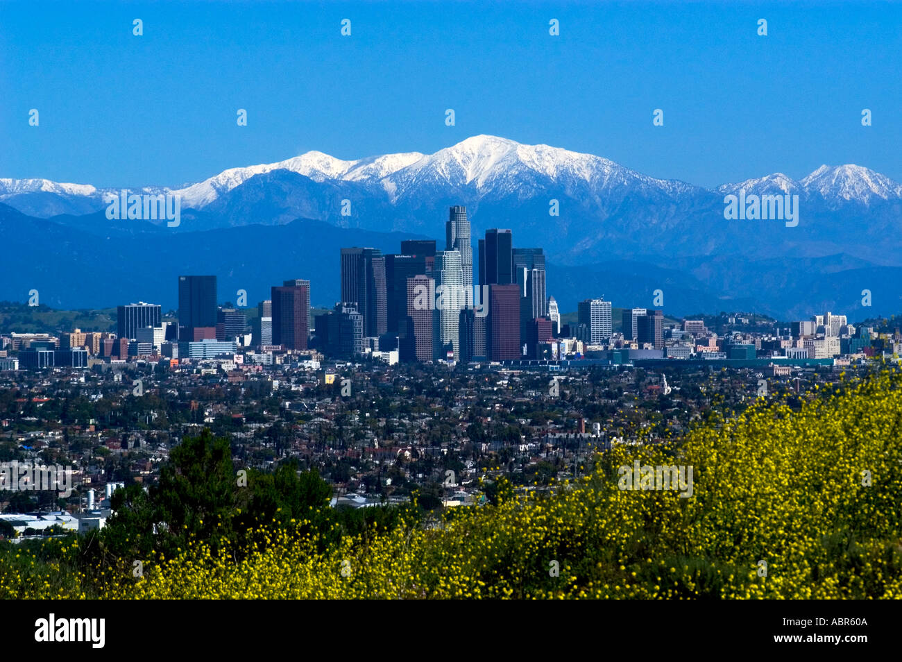 Snow covered San Gabriel Mountains behind downtown Los Angeles skyline