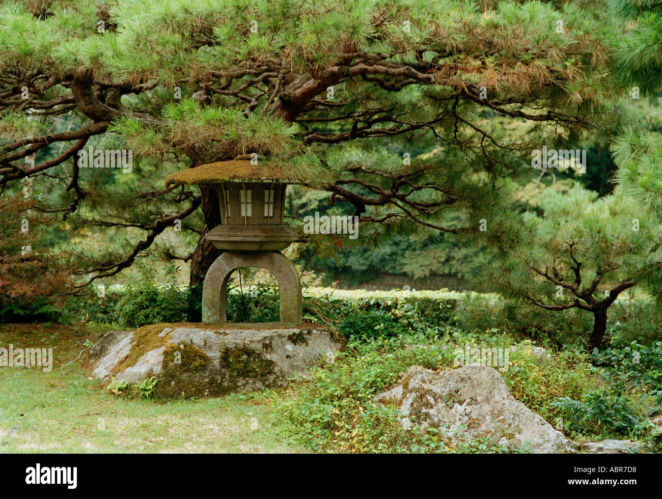 In the Zen temple garden of Tenryu ji, Kyoto, Japan Stock Photo