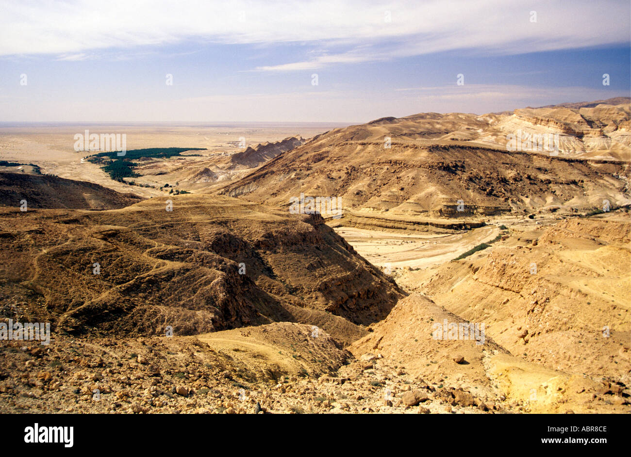 Viewed to the south from the height of the mountain of Djebel en Negueb