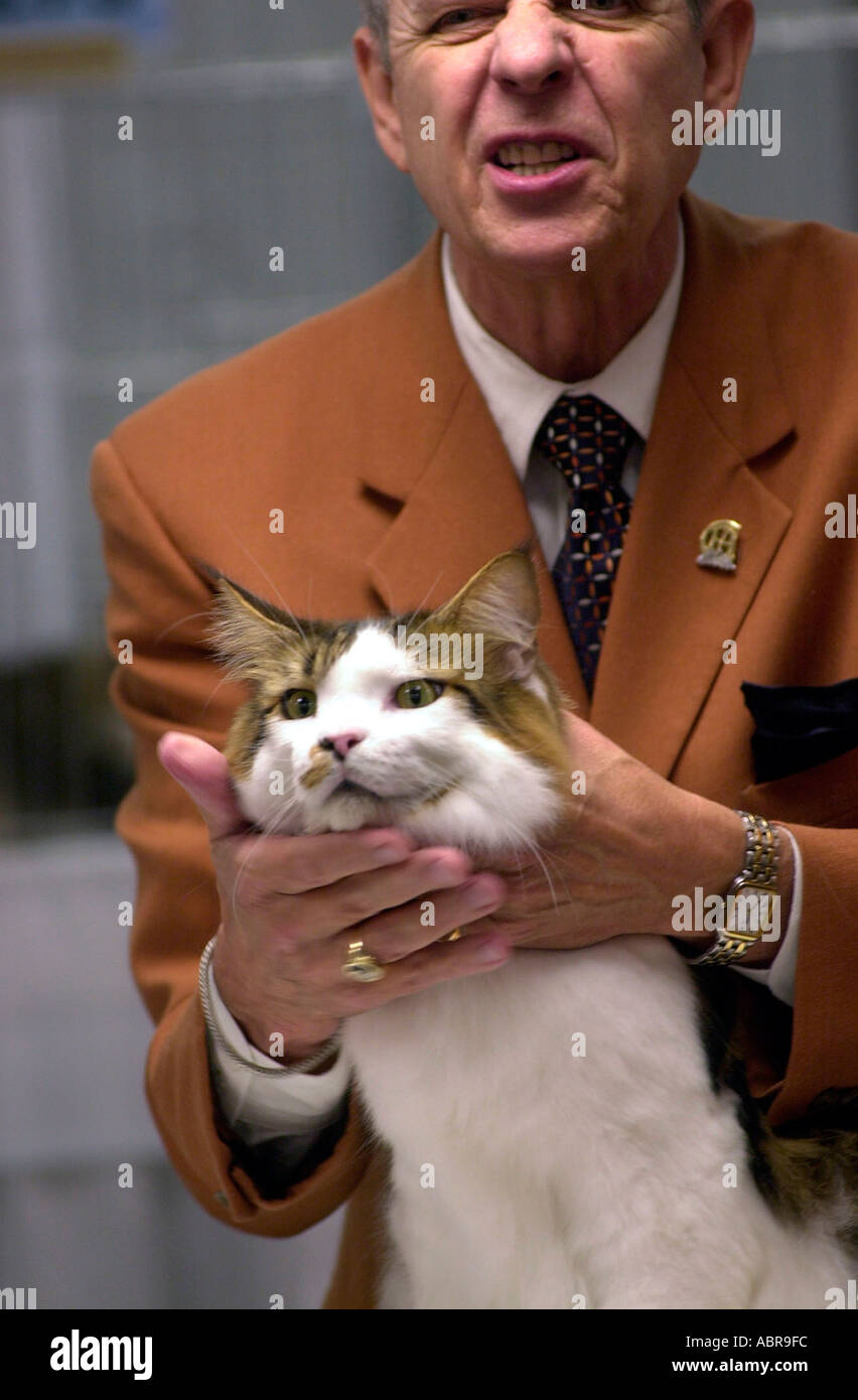 Bob Zenda judges Jordy a 23lb Maine Coon cat at the CFA IAMS Cat Show