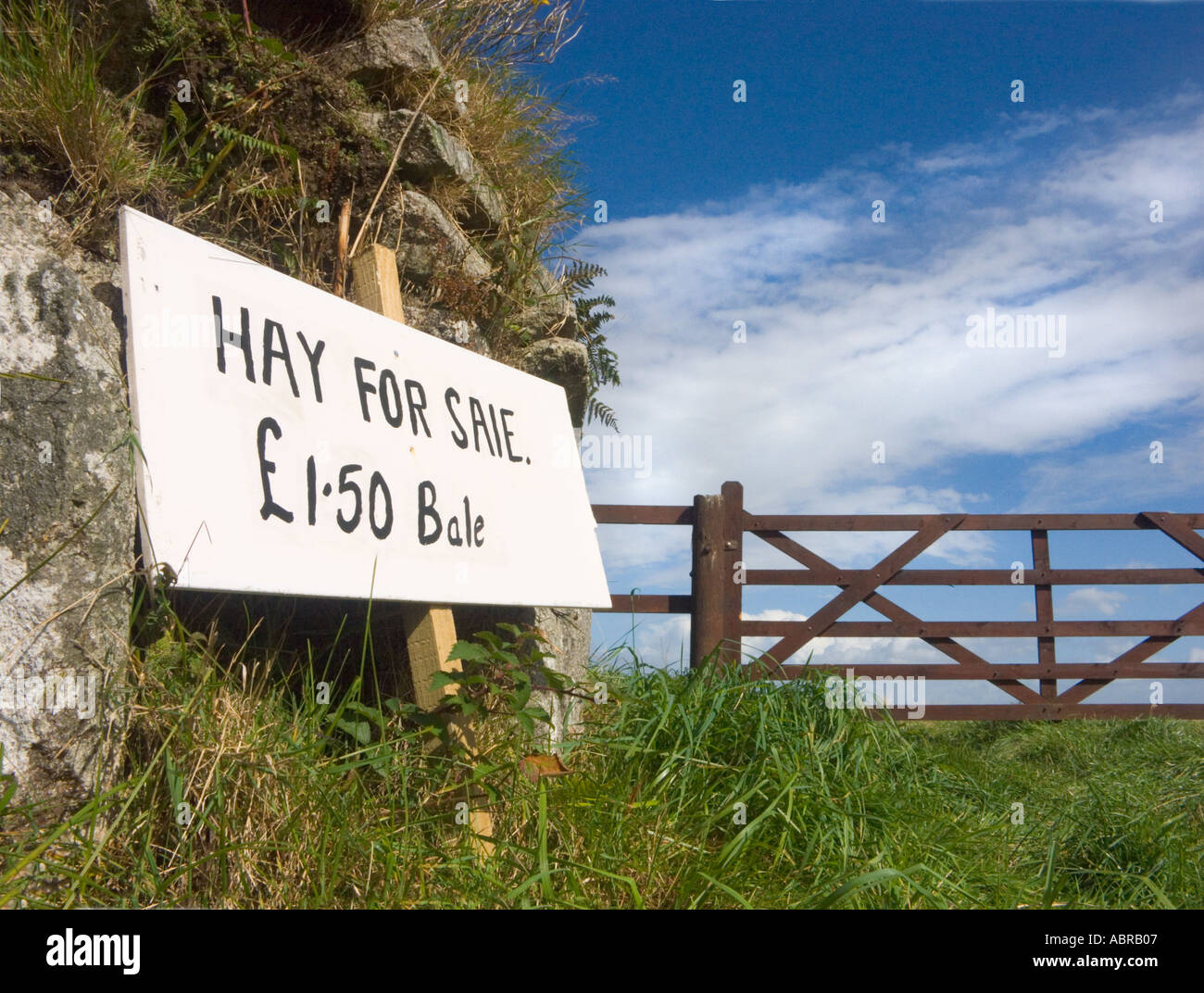 Hay for sale sign hires stock photography and images Alamy