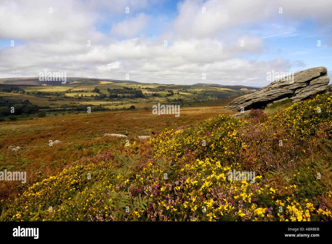 View from Saddle Tor Dartmoor National Park Devonshire England UK Stock