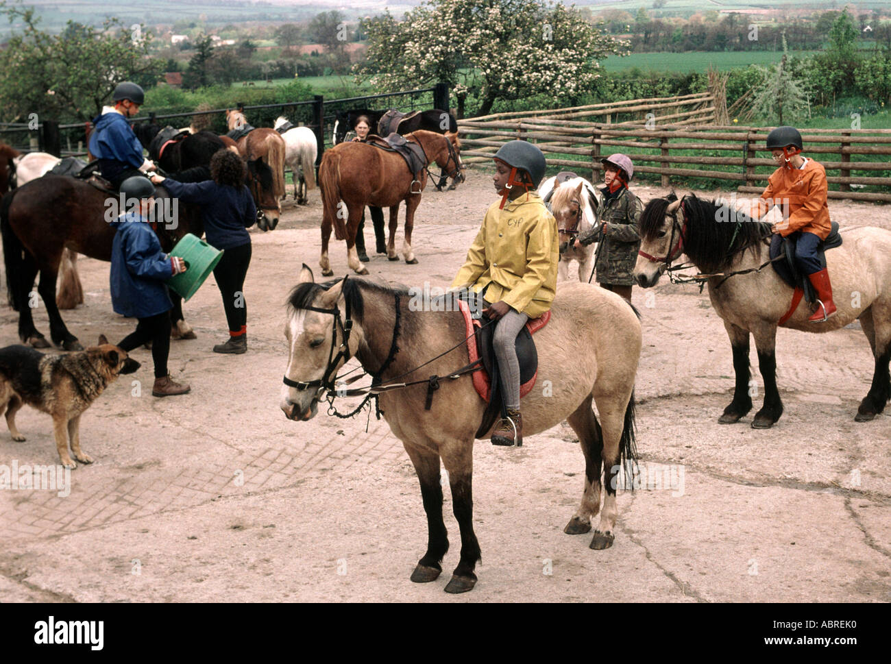 children being taught horesback riding on a primary school adventure outing in the countryside Stock Photo