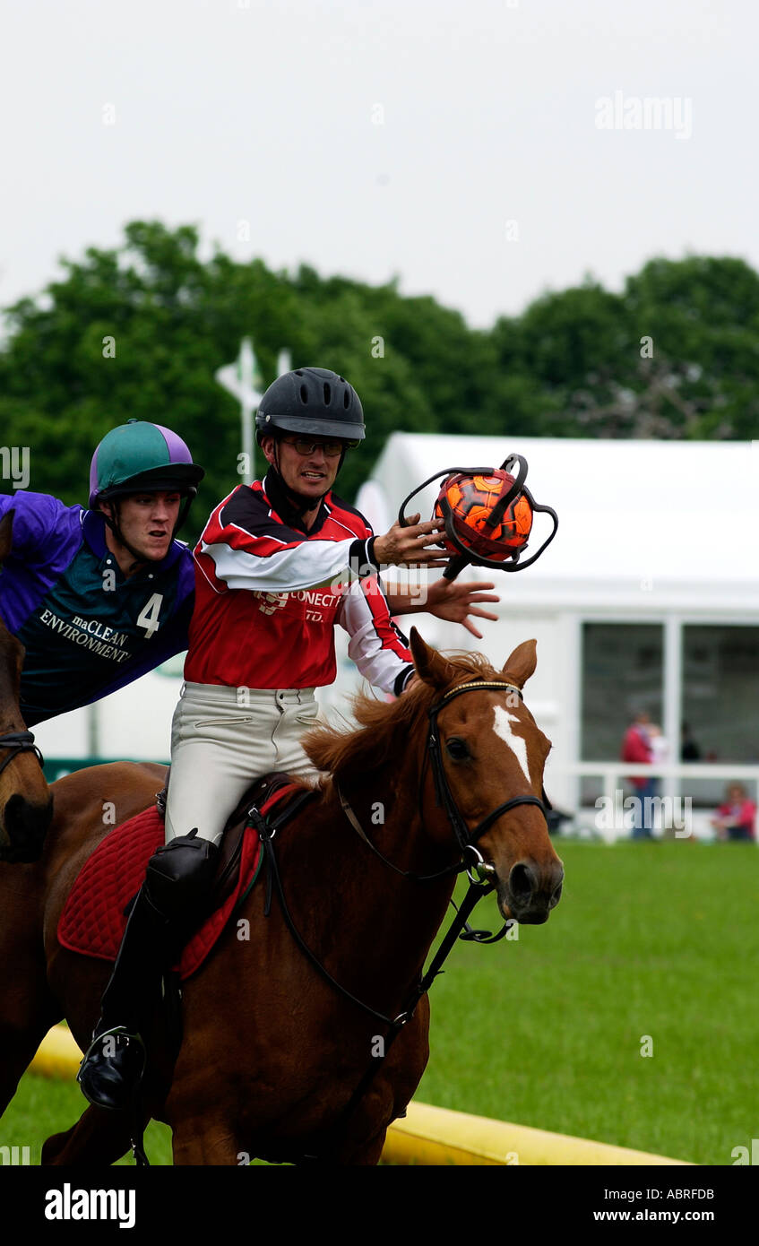 HORSE BALL Stock Photo Alamy