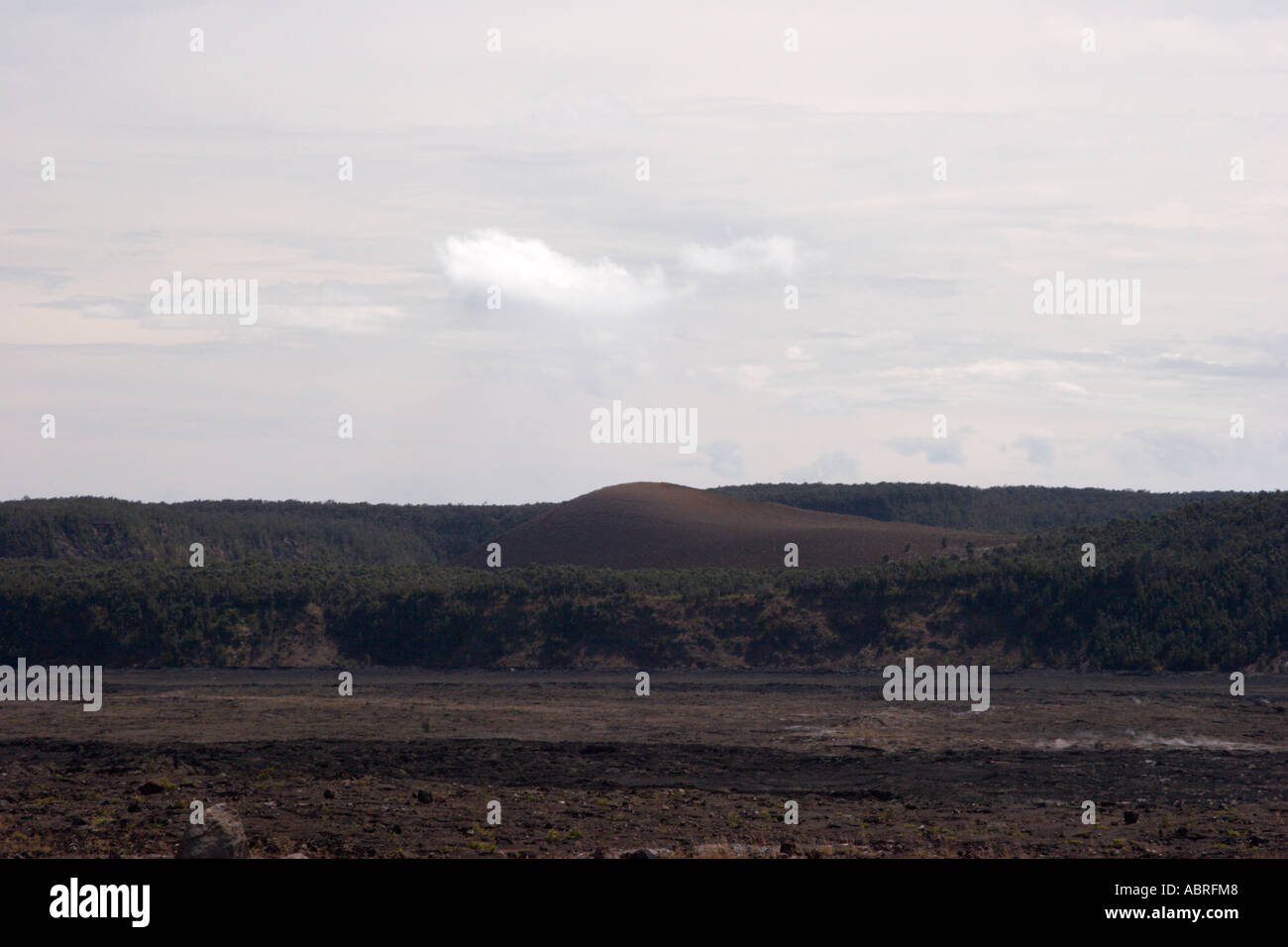 Pu'u Pu'a'i Cinder Cone from the Halema'uma'u Caldera Trail, within