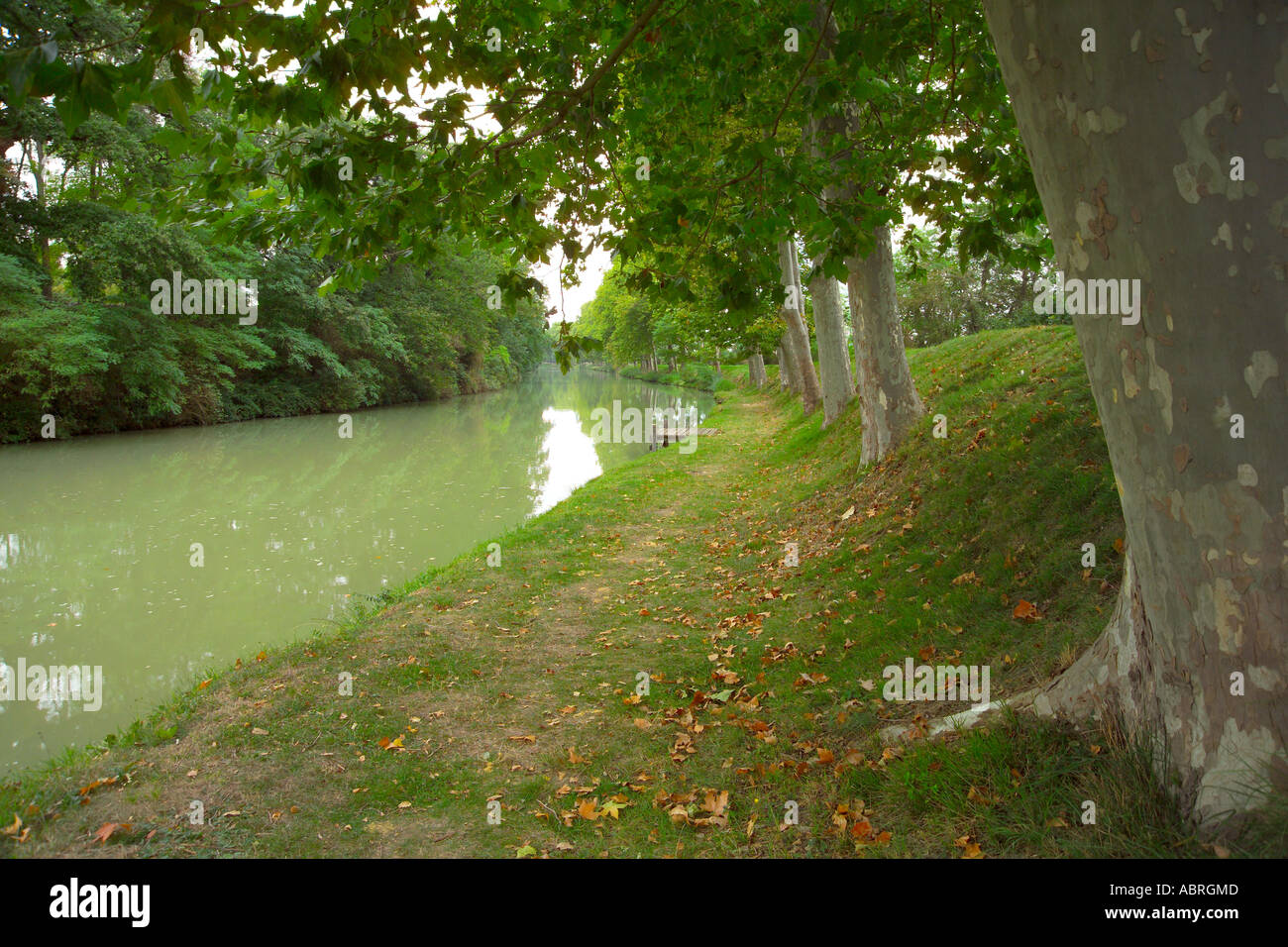 France, Midi Pyrenees, Haute Garonne, Canal du Midi Stock Photo