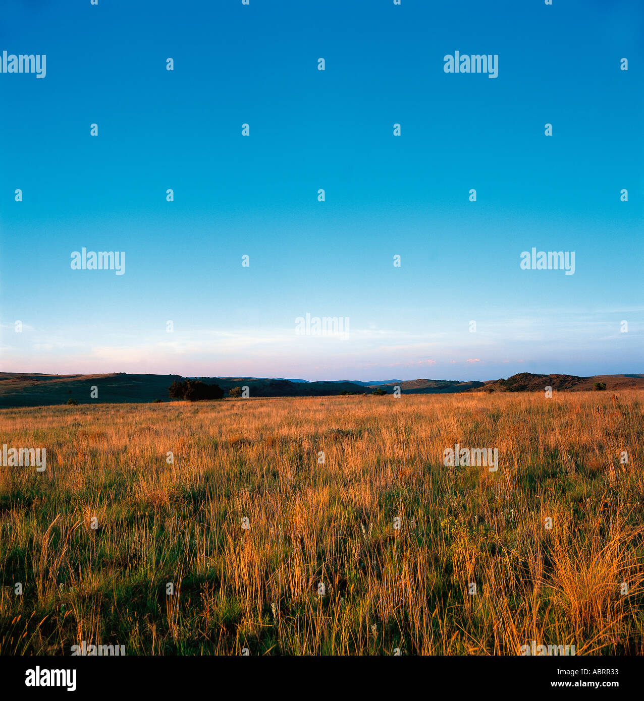 Scenic landscape of grasslands Cradle of Man Kind Magaliesburg Gauteng