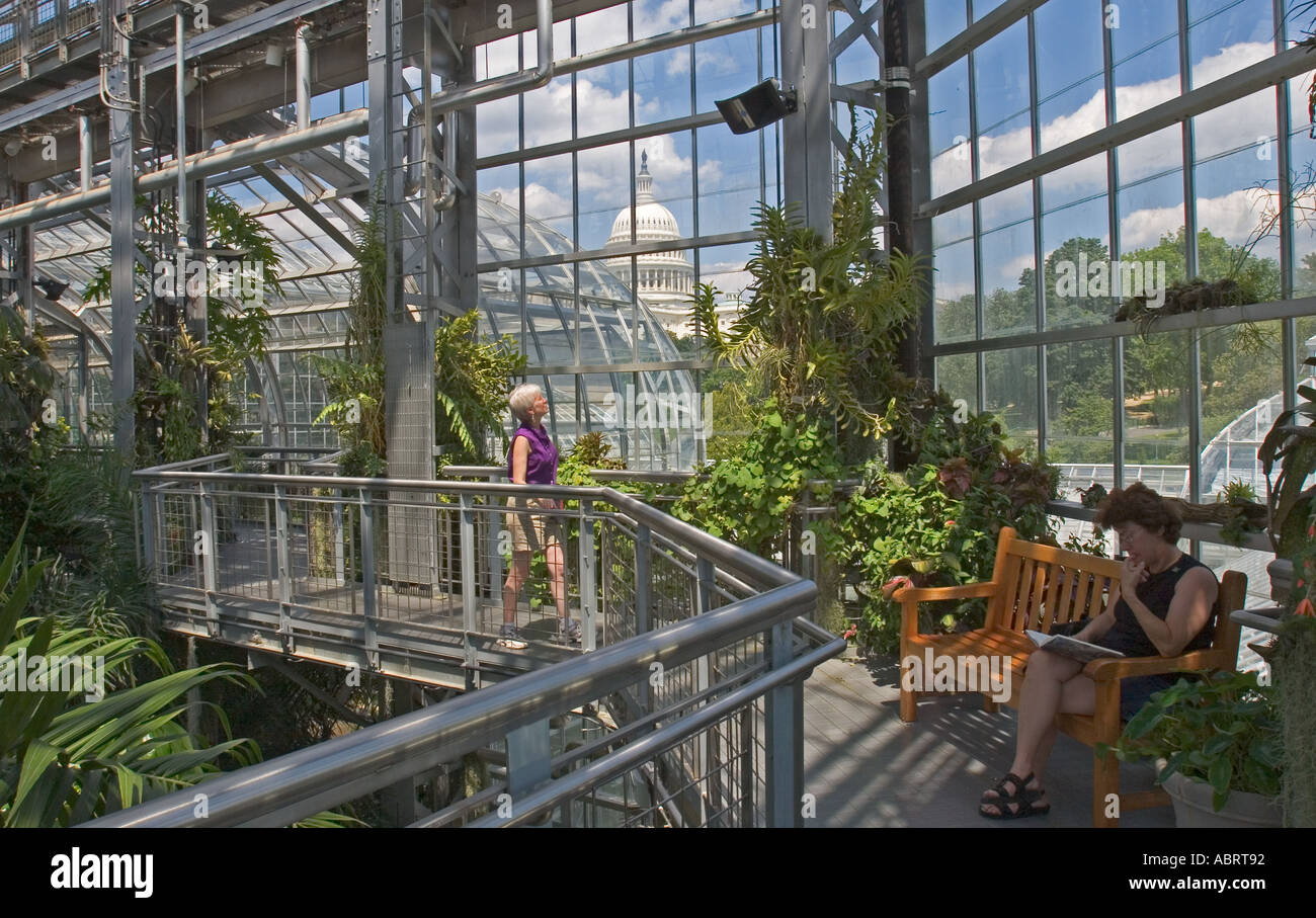 US Capitol from Botanic Garden Conservatory Stock Photo