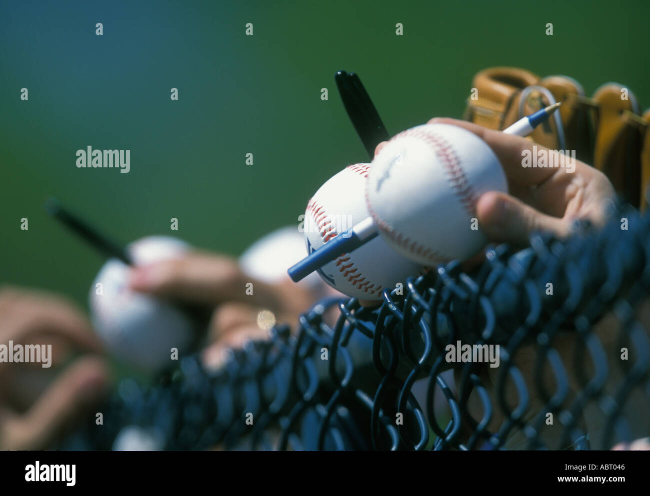 Baseball fans looking for autographs Stock Photo Alamy