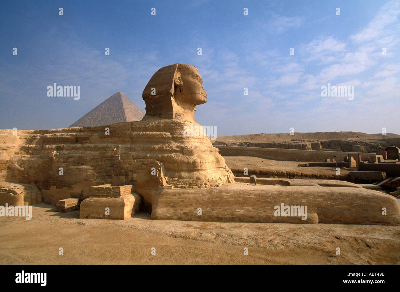 EGYPT GIZA Sphinx wide side profile showing paws with Great Pyramid in ...