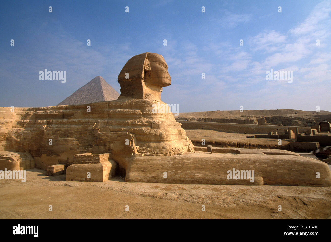 EGYPT GIZA Sphinx wide side profile showing paws with Great Pyramid in