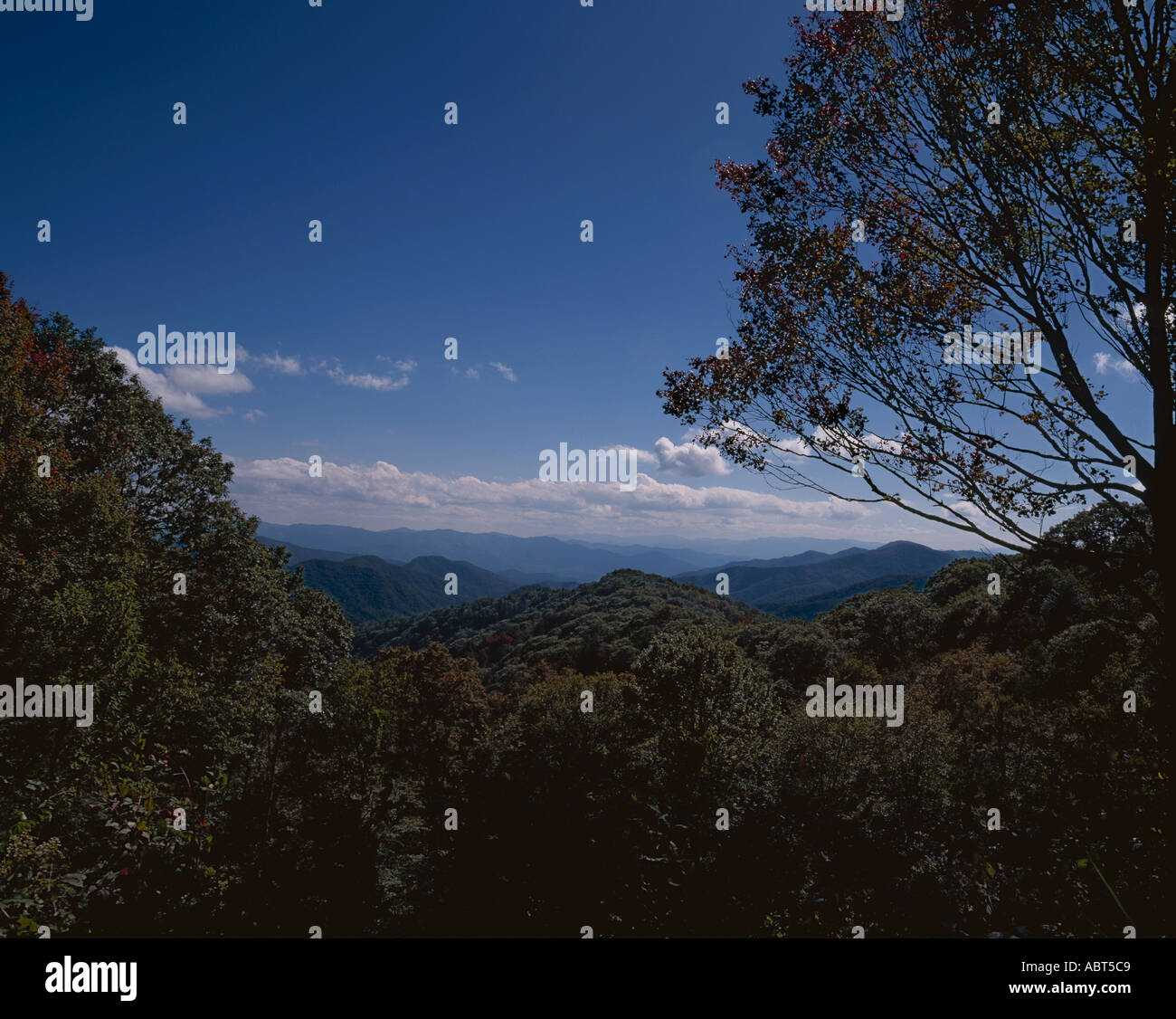 Great Smoky Mountains National Park Tennessee Stock Photo - Alamy