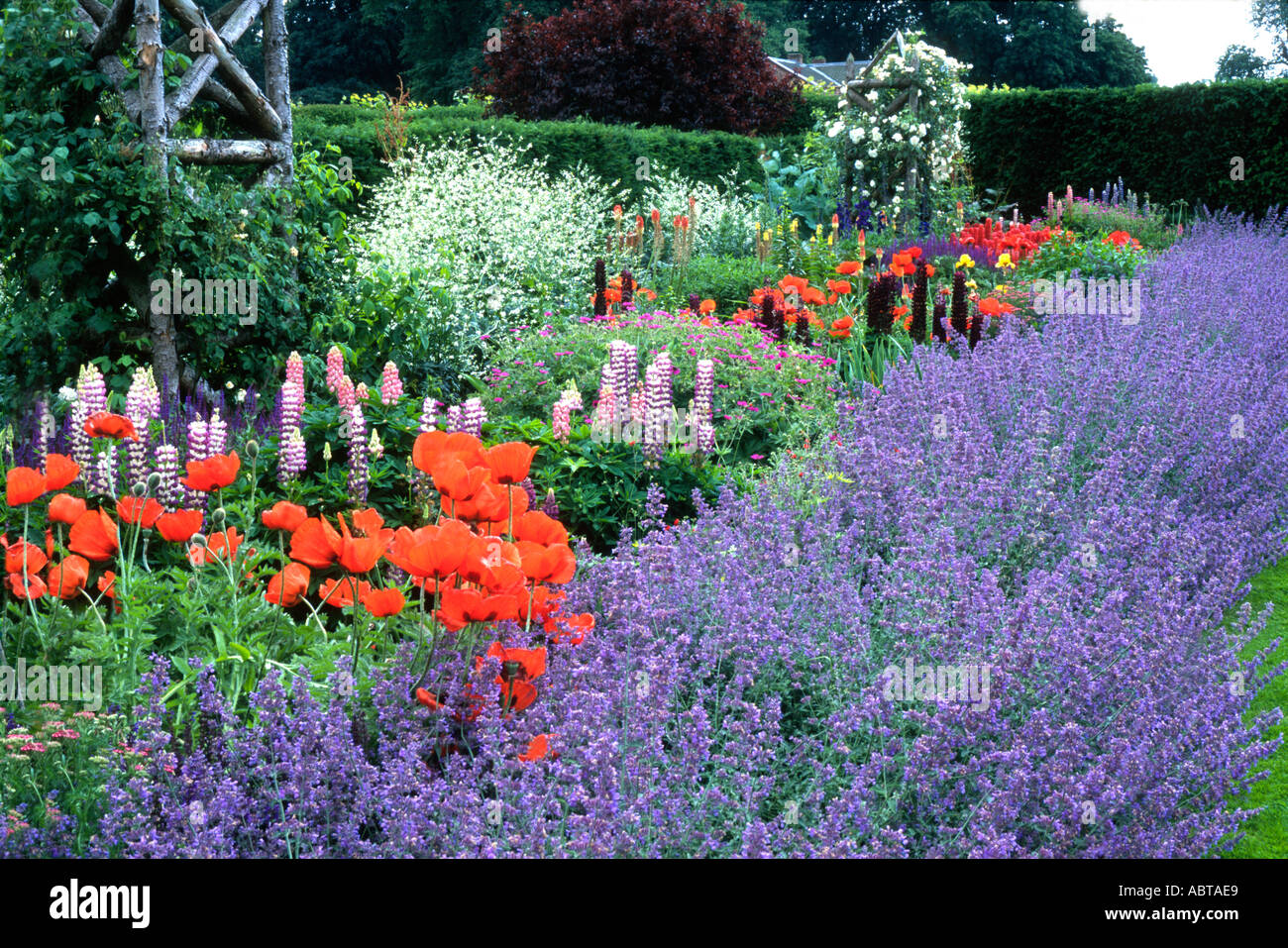 Garden design herbaceous border hi-res stock photography and images - Alamy