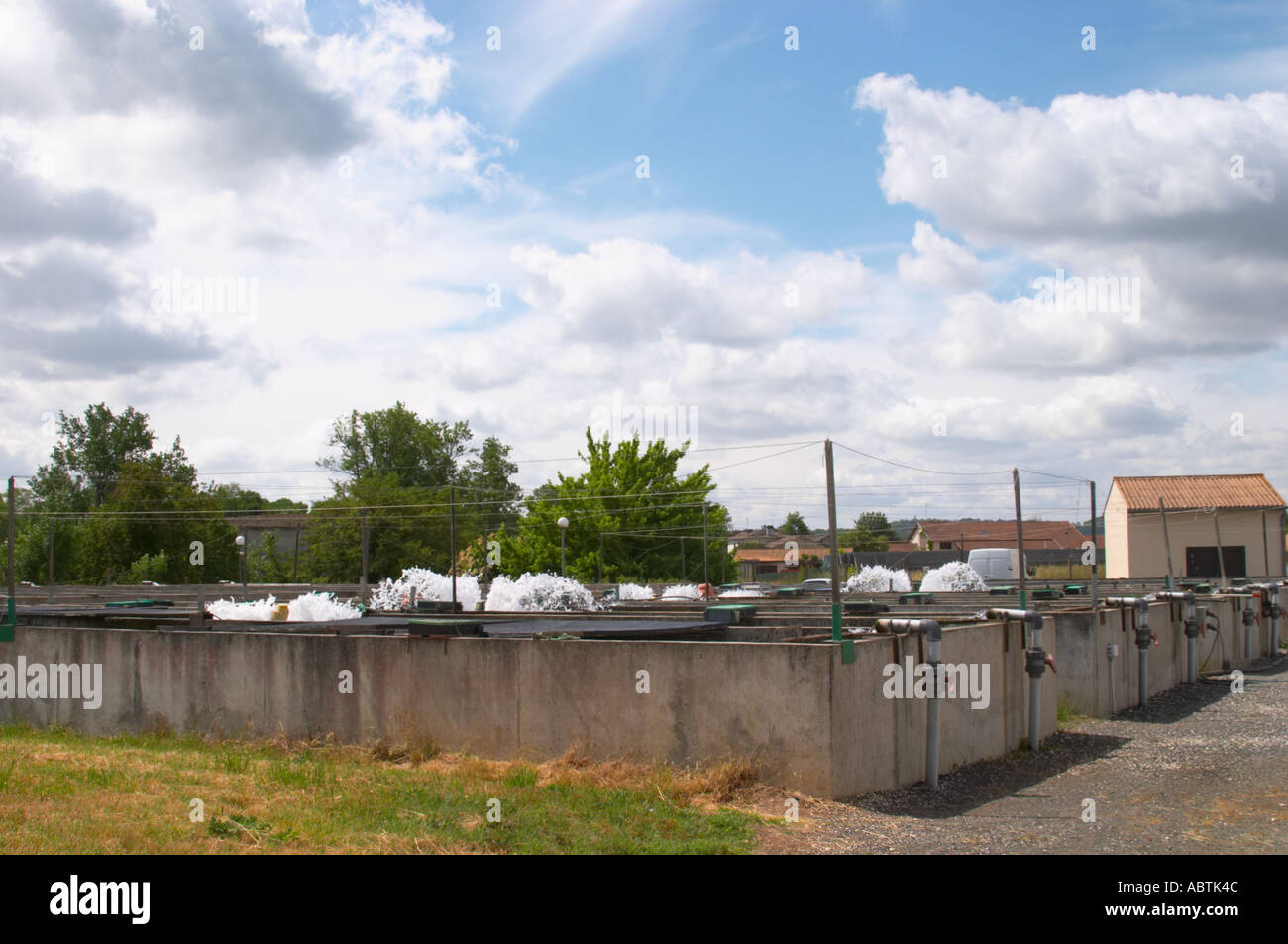 Fish farm nursery dam pond for breeding sturgeon with fresh water