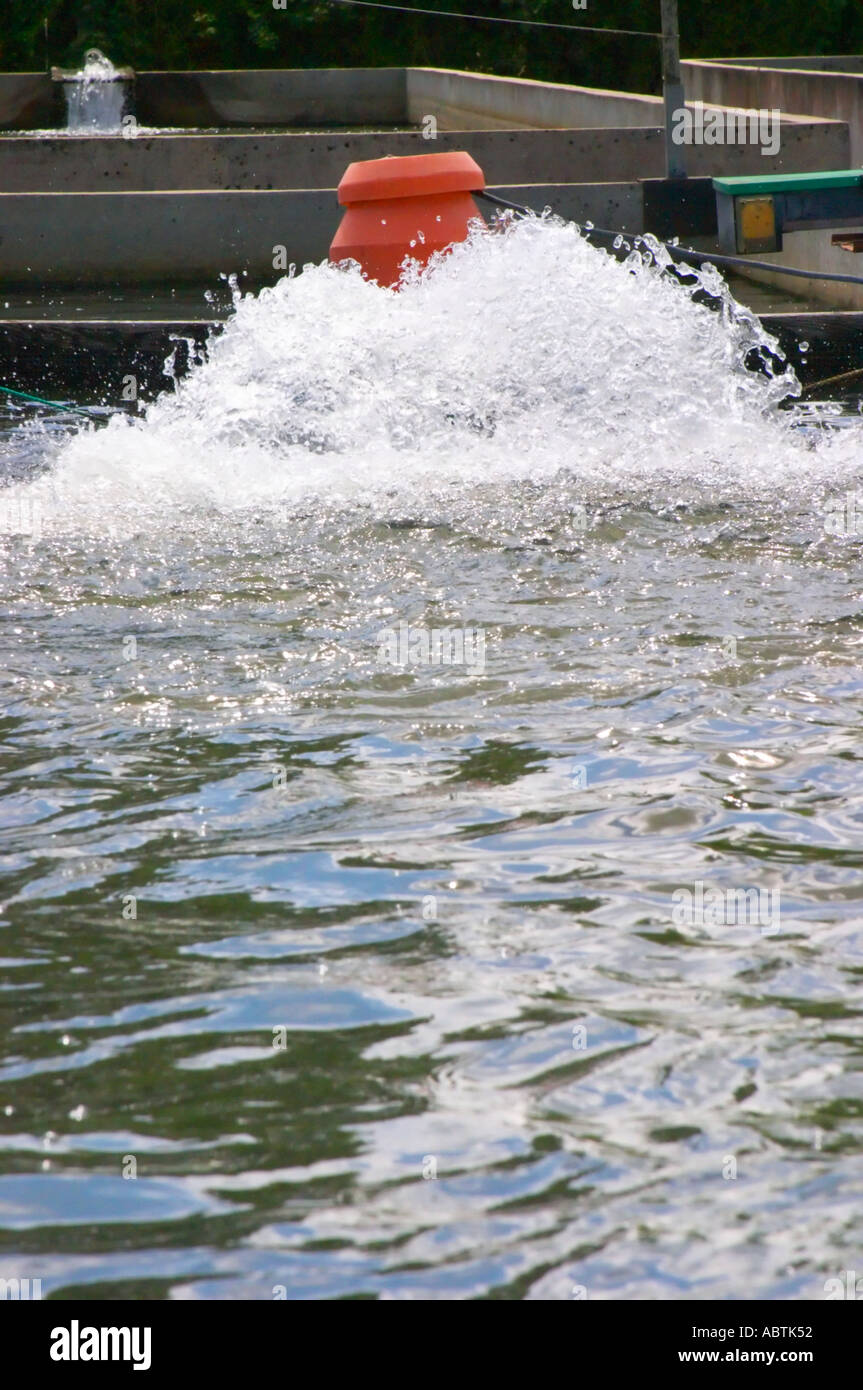 Fish farm nursery dam pond for breeding sturgeon with fresh water