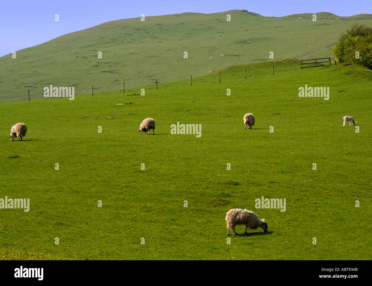 england derbyshire peak district national park thorpe village dovedale Stock Photo Alamy