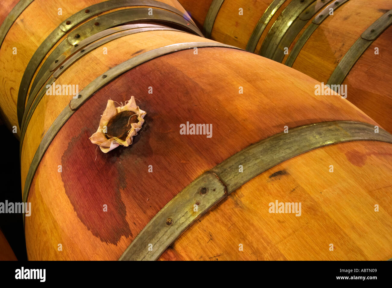 An oak barrel stained by wine with a bung hole stopper in wood covered