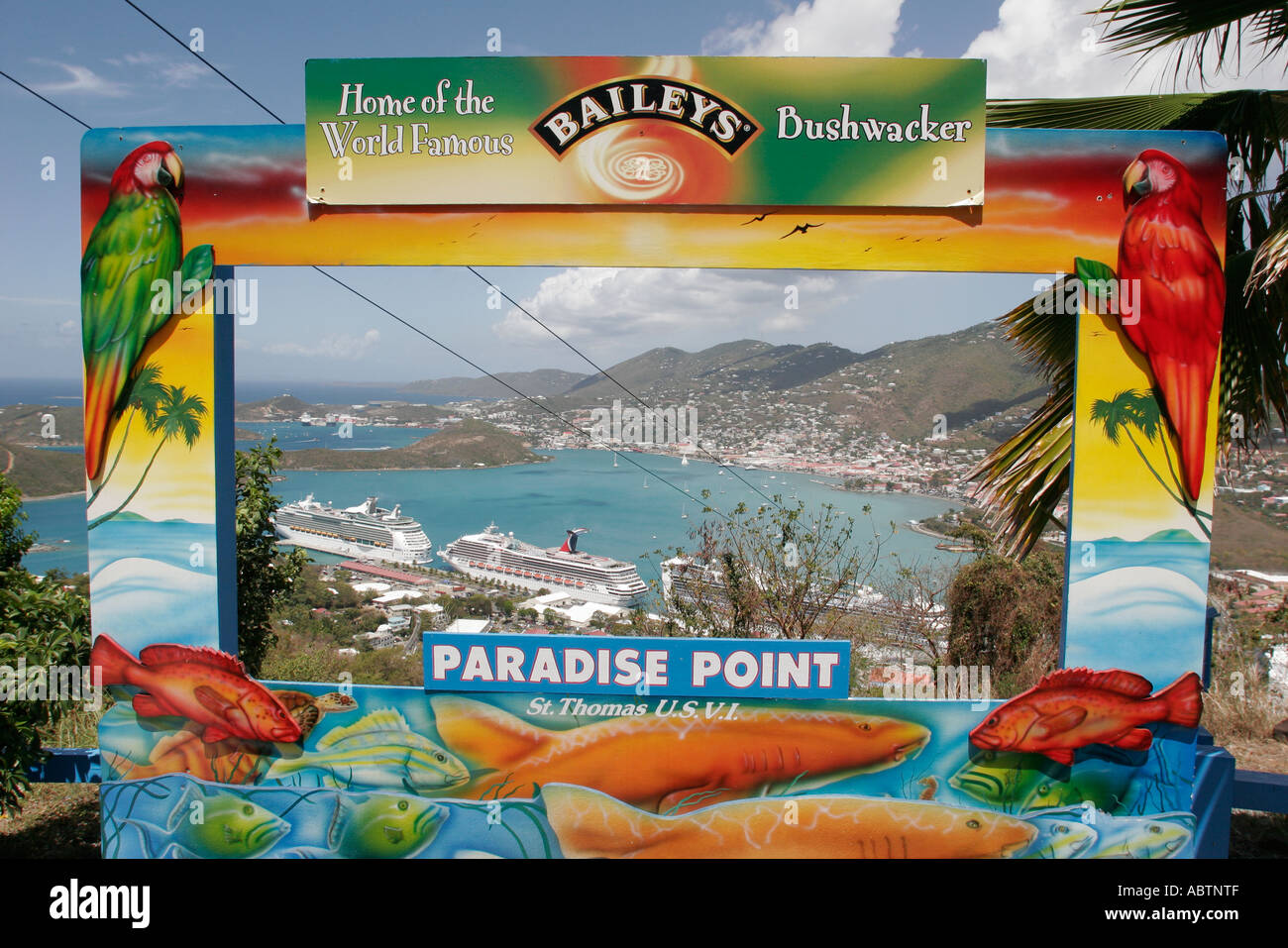 Virgin Islands,USVI,U.S.V.I.,Caribbean Sea,water,Atlantic Ocean,water,St. Thomas,Saint,Paradise