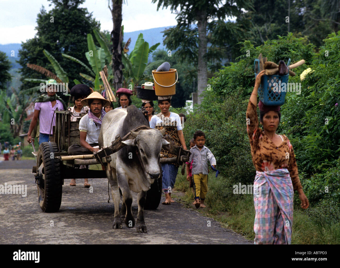 Farmer Toba Batak (Toba,Karo,Simalungun,Pak Pak, Mandailing, Angkola)Batak tribes,Lake Toba,Sumatra,Indonesia) Stock Photo