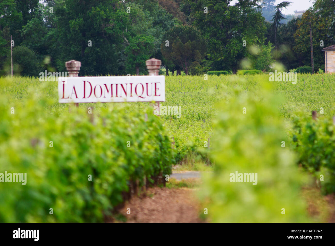 A sign in the vineyard saying Chateau La Dominique Saint Emilion Bordeaux Gironde Aquitaine France Stock Photo