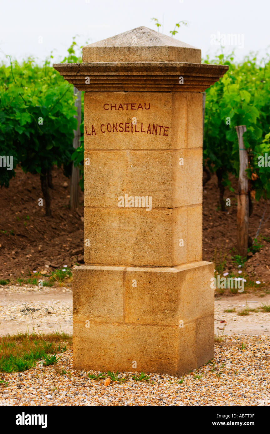 stone gate vineyard
