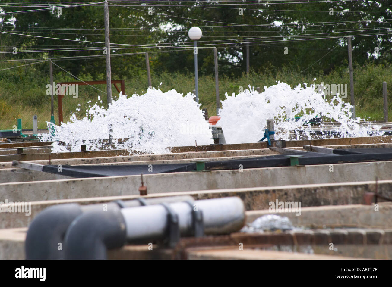 Fish farm nursery dam pond for breeding sturgeon with fresh water