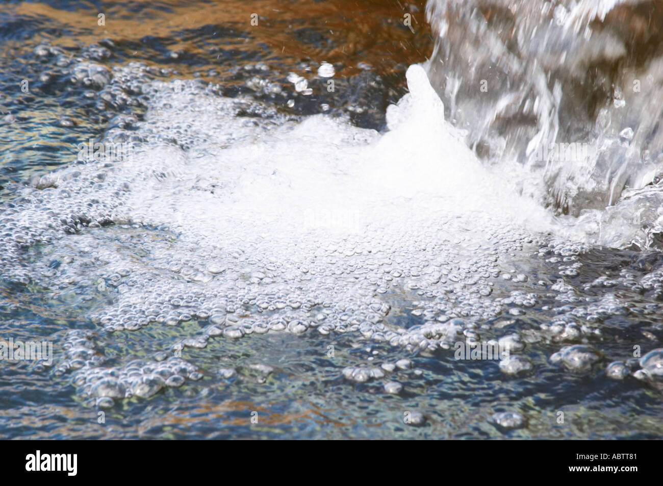 Fish farm nursery dam pond for breeding sturgeon with fresh water