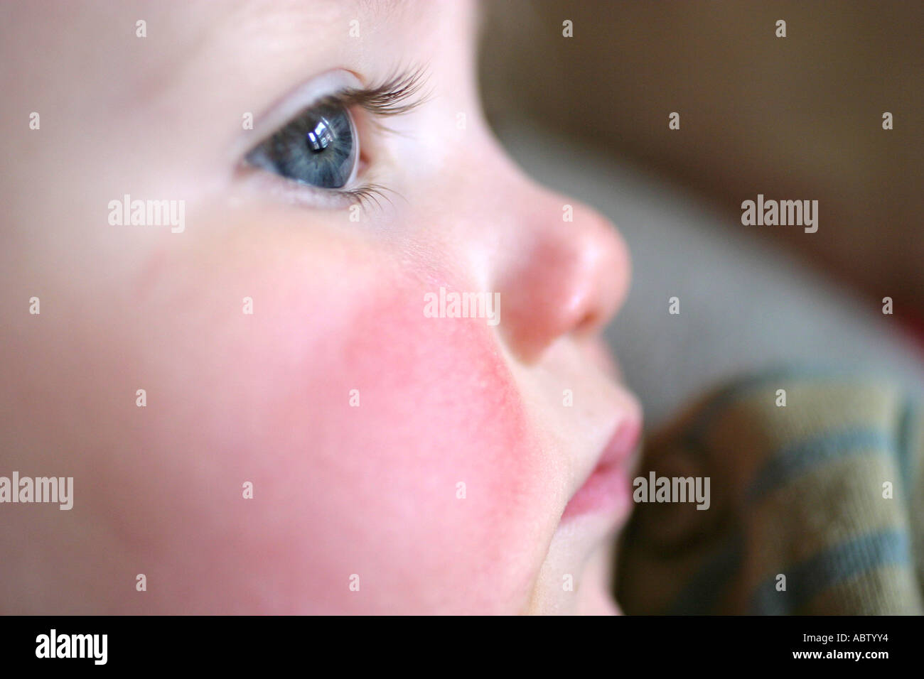 Portrait Of An 18 Month Old Stock Photo Alamy