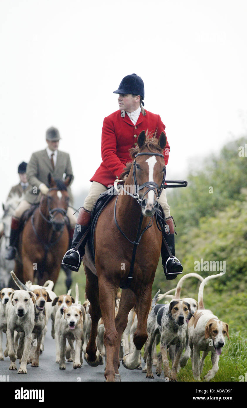 The Ledbury Hunt in Gloucestershire UK returns from a morning s fox hunting Stock Photo