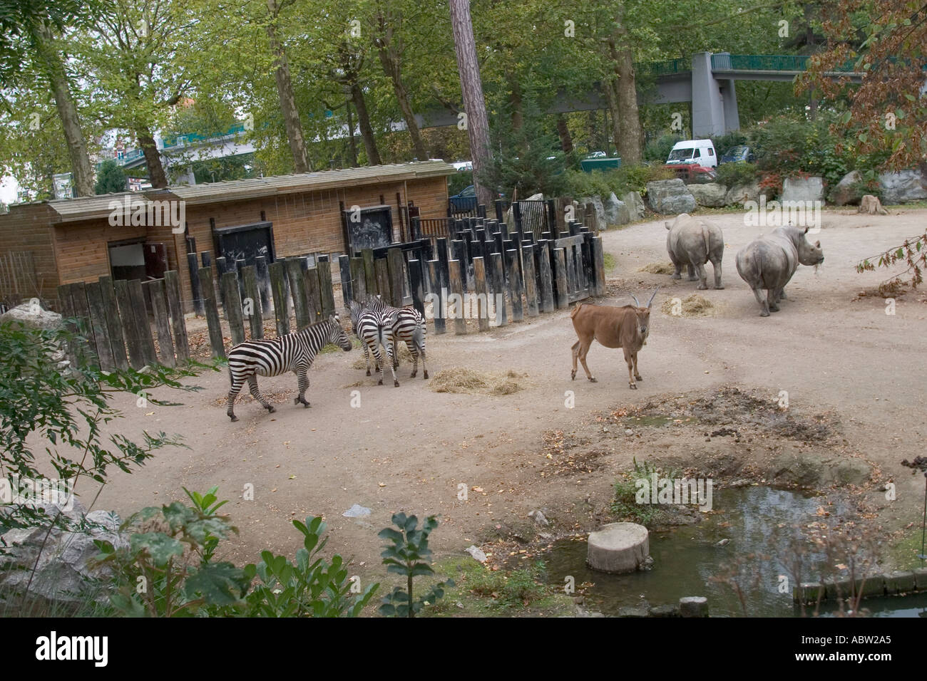 Animals in Lille Zoo France Stock Photo 2413220 Alamy