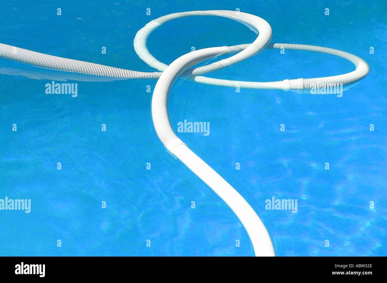 Cleaning hose floating in swimming pool Stock Photo Alamy